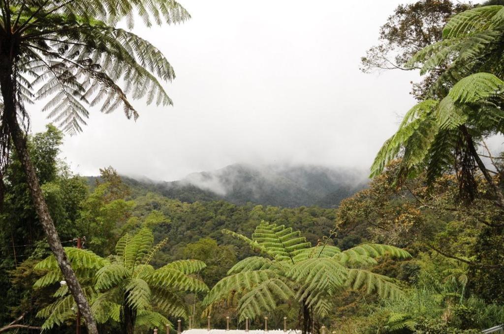 Ayana Holiday Resort Kundasang ภายนอก รูปภาพ