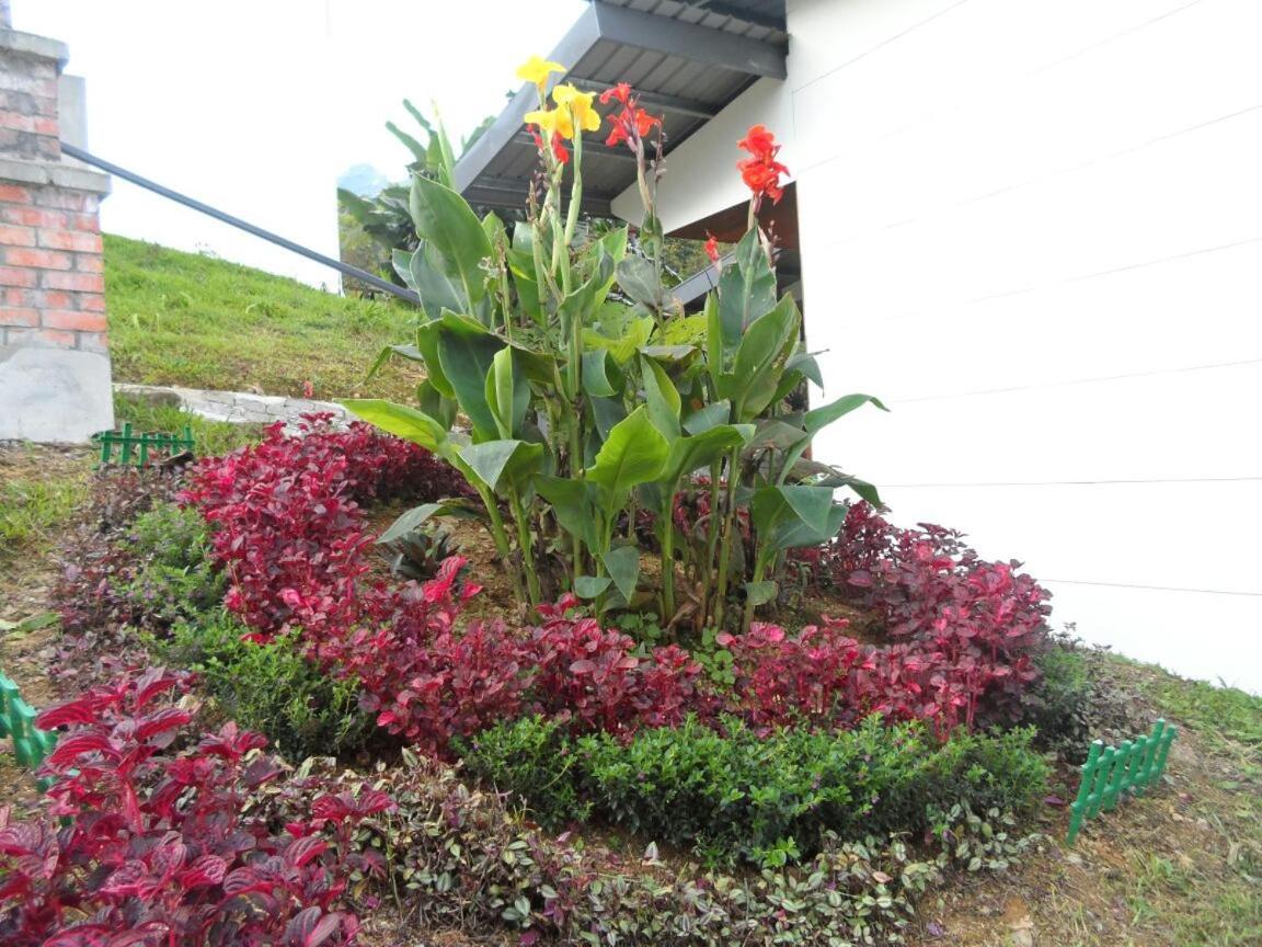Ayana Holiday Resort Kundasang ภายนอก รูปภาพ